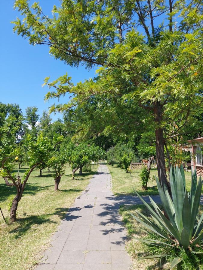 Villa Piersepp B&B Trappitello Kültér fotó