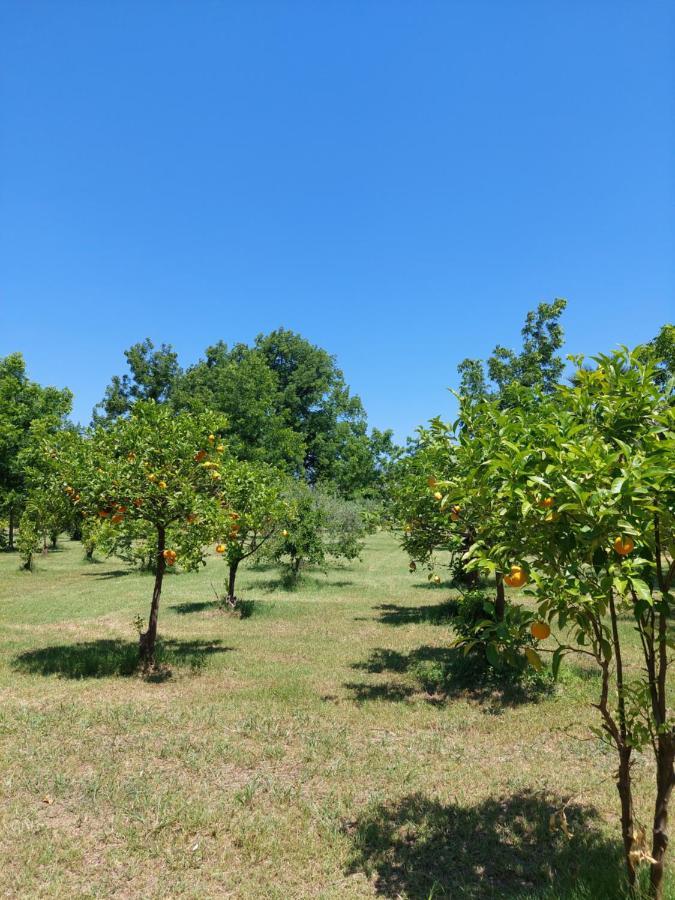 Villa Piersepp B&B Trappitello Kültér fotó
